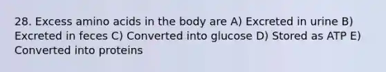 28. Excess amino acids in the body are A) Excreted in urine B) Excreted in feces C) Converted into glucose D) Stored as ATP E) Converted into proteins