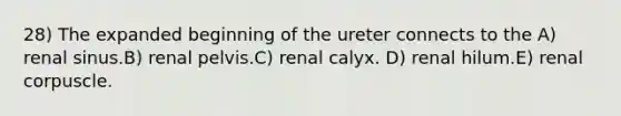 28) The expanded beginning of the ureter connects to the A) renal sinus.B) renal pelvis.C) renal calyx. D) renal hilum.E) renal corpuscle.