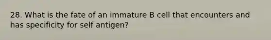 28. What is the fate of an immature B cell that encounters and has specificity for self antigen?