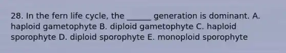 28. In the fern life cycle, the ______ generation is dominant. A. haploid gametophyte B. diploid gametophyte C. haploid sporophyte D. diploid sporophyte E. monoploid sporophyte