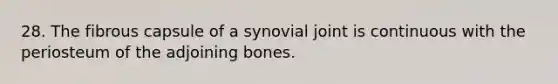 28. The fibrous capsule of a synovial joint is continuous with the periosteum of the adjoining bones.