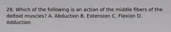 28. Which of the following is an action of the middle fibers of the deltoid muscles? A. Abduction B. Extension C. Flexion D. Adduction