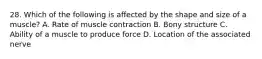 28. Which of the following is affected by the shape and size of a muscle? A. Rate of muscle contraction B. Bony structure C. Ability of a muscle to produce force D. Location of the associated nerve