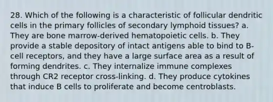 28. Which of the following is a characteristic of follicular dendritic cells in the primary follicles of secondary lymphoid tissues? a. They are bone marrow-derived hematopoietic cells. b. They provide a stable depository of intact antigens able to bind to B-cell receptors, and they have a large surface area as a result of forming dendrites. c. They internalize immune complexes through CR2 receptor cross-linking. d. They produce cytokines that induce B cells to proliferate and become centroblasts.