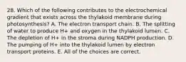 28. Which of the following contributes to the electrochemical gradient that exists across the thylakoid membrane during photosynthesis? A. The electron transport chain. B. The splitting of water to produce H+ and oxygen in the thylakoid lumen. C. The depletion of H+ in the stroma during NADPH production. D. The pumping of H+ into the thylakoid lumen by electron transport proteins. E. All of the choices are correct.