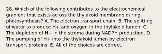 28. Which of the following contributes to the electrochemical gradient that exists across the thylakoid membrane during photosynthesis? A. The electron transport chain. B. The splitting of water to produce H+ and oxygen in the thylakoid lumen. C. The depletion of H+ in the stroma during NADPH production. D. The pumping of H+ into the thylakoid lumen by electron transport proteins. E. All of the choices are correct.