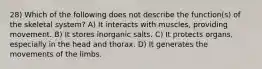 28) Which of the following does not describe the function(s) of the skeletal system? A) It interacts with muscles, providing movement. B) It stores inorganic salts. C) It protects organs, especially in the head and thorax. D) It generates the movements of the limbs.