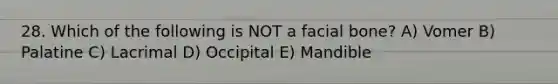 28. Which of the following is NOT a facial bone? A) Vomer B) Palatine C) Lacrimal D) Occipital E) Mandible