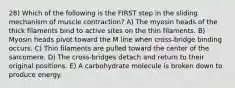 28) Which of the following is the FIRST step in the sliding mechanism of muscle contraction? A) The myosin heads of the thick filaments bind to active sites on the thin filaments. B) Myosin heads pivot toward the M line when cross-bridge binding occurs. C) Thin filaments are pulled toward the center of the sarcomere. D) The cross-bridges detach and return to their original positions. E) A carbohydrate molecule is broken down to produce energy.