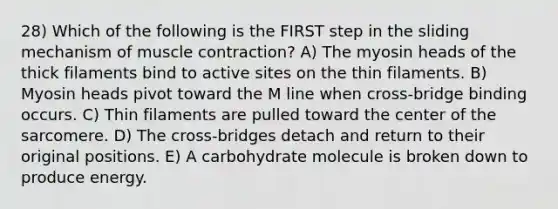 28) Which of the following is the FIRST step in the sliding mechanism of muscle contraction? A) The myosin heads of the thick filaments bind to active sites on the thin filaments. B) Myosin heads pivot toward the M line when cross-bridge binding occurs. C) Thin filaments are pulled toward the center of the sarcomere. D) The cross-bridges detach and return to their original positions. E) A carbohydrate molecule is broken down to produce energy.