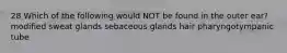 28 Which of the following would NOT be found in the outer ear? modified sweat glands sebaceous glands hair pharyngotympanic tube