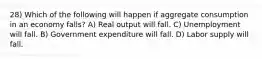 28) Which of the following will happen if aggregate consumption in an economy falls? A) Real output will fall. C) Unemployment will fall. B) Government expenditure will fall. D) Labor supply will fall.