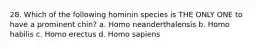 28. Which of the following hominin species is THE ONLY ONE to have a prominent chin? a. Homo neanderthalensis b. Homo habilis c. Homo erectus d. Homo sapiens