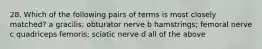 28. Which of the following pairs of terms is most closely matched? a gracilis; obturator nerve b hamstrings; femoral nerve c quadriceps femoris; sciatic nerve d all of the above