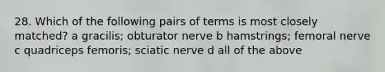 28. Which of the following pairs of terms is most closely matched? a gracilis; obturator nerve b hamstrings; femoral nerve c quadriceps femoris; sciatic nerve d all of the above