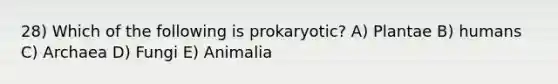 28) Which of the following is prokaryotic? A) Plantae B) humans C) Archaea D) Fungi E) Animalia