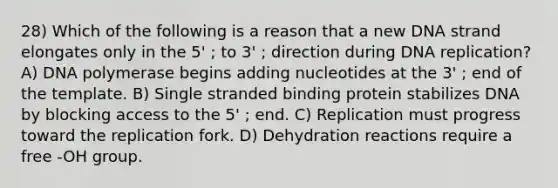 28) Which of the following is a reason that a new DNA strand elongates only in the 5' ; to 3' ; direction during DNA replication? A) DNA polymerase begins adding nucleotides at the 3' ; end of the template. B) Single stranded binding protein stabilizes DNA by blocking access to the 5' ; end. C) Replication must progress toward the replication fork. D) Dehydration reactions require a free -OH group.