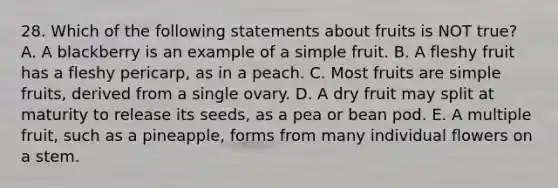 28. Which of the following statements about fruits is NOT true? A. A blackberry is an example of a simple fruit. B. A fleshy fruit has a fleshy pericarp, as in a peach. C. Most fruits are simple fruits, derived from a single ovary. D. A dry fruit may split at maturity to release its seeds, as a pea or bean pod. E. A multiple fruit, such as a pineapple, forms from many individual flowers on a stem.