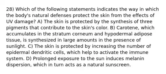 28) Which of the following statements indicates the way in which the body's natural defenses protect the skin from the effects of UV damage? A) The skin is protected by the synthesis of three pigments that contribute to the skin's color. B) Carotene, which accumulates in the stratum corneum and hypodermal adipose tissue, is synthesized in large amounts in the presence of sunlight. C) The skin is protected by increasing the number of epidermal dendritic cells, which help to activate the immune system. D) Prolonged exposure to the sun induces melanin dispersion, which in turn acts as a natural sunscreen.