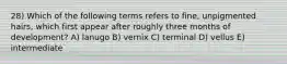 28) Which of the following terms refers to fine, unpigmented hairs, which first appear after roughly three months of development? A) lanugo B) vernix C) terminal D) vellus E) intermediate