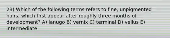 28) Which of the following terms refers to fine, unpigmented hairs, which first appear after roughly three months of development? A) lanugo B) vernix C) terminal D) vellus E) intermediate