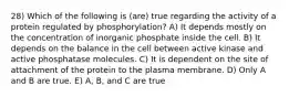 28) Which of the following is (are) true regarding the activity of a protein regulated by phosphorylation? A) It depends mostly on the concentration of inorganic phosphate inside the cell. B) It depends on the balance in the cell between active kinase and active phosphatase molecules. C) It is dependent on the site of attachment of the protein to the plasma membrane. D) Only A and B are true. E) A, B, and C are true