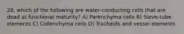 28. which of the following are water-conducting cells that are dead at functional maturity? A) Parenchyma cells B) Sieve-tube elements C) Collenchyma cells D) Tracheids and vessel elements