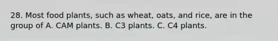 28. Most food plants, such as wheat, oats, and rice, are in the group of A. CAM plants. B. C3 plants. C. C4 plants.