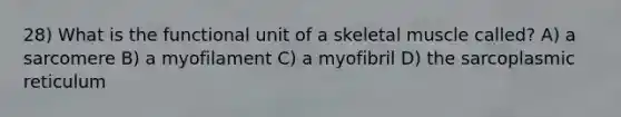 28) What is the functional unit of a skeletal muscle called? A) a sarcomere B) a myofilament C) a myofibril D) the sarcoplasmic reticulum