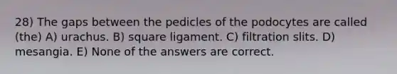 28) The gaps between the pedicles of the podocytes are called (the) A) urachus. B) square ligament. C) filtration slits. D) mesangia. E) None of the answers are correct.