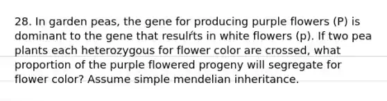 28. In garden peas, the gene for producing purple flowers (P) is dominant to the gene that resulŕts in white flowers (p). If two pea plants each heterozygous for flower color are crossed, what proportion of the purple flowered progeny will segregate for flower color? Assume simple mendelian inheritance.