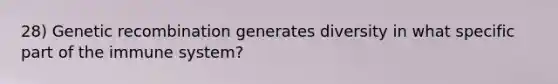 28) Genetic recombination generates diversity in what specific part of the immune system?