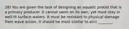 28) You are given the task of designing an aquatic protist that is a primary producer. It cannot swim on its own, yet must stay in well-lit surface waters. It must be resistant to physical damage from wave action. It should be most similar to a(n) ________.