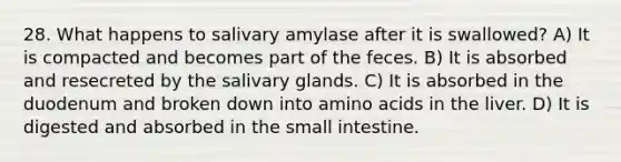 28. What happens to salivary amylase after it is swallowed? A) It is compacted and becomes part of the feces. B) It is absorbed and resecreted by the salivary glands. C) It is absorbed in the duodenum and broken down into amino acids in the liver. D) It is digested and absorbed in the small intestine.