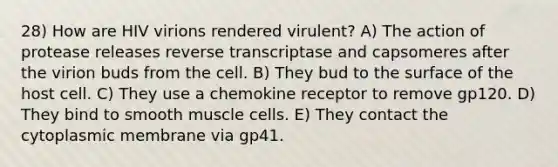 28) How are HIV virions rendered virulent? A) The action of protease releases reverse transcriptase and capsomeres after the virion buds from the cell. B) They bud to the surface of the host cell. C) They use a chemokine receptor to remove gp120. D) They bind to smooth muscle cells. E) They contact the cytoplasmic membrane via gp41.