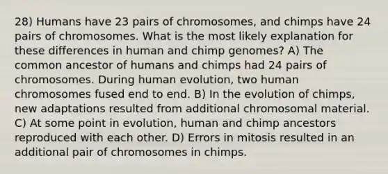 28) Humans have 23 pairs of chromosomes, and chimps have 24 pairs of chromosomes. What is the most likely explanation for these differences in human and chimp genomes? A) The common ancestor of humans and chimps had 24 pairs of chromosomes. During human evolution, two human chromosomes fused end to end. B) In the evolution of chimps, new adaptations resulted from additional chromosomal material. C) At some point in evolution, human and chimp ancestors reproduced with each other. D) Errors in mitosis resulted in an additional pair of chromosomes in chimps.