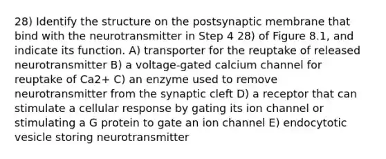 28) Identify the structure on the postsynaptic membrane that bind with the neurotransmitter in Step 4 28) of Figure 8.1, and indicate its function. A) transporter for the reuptake of released neurotransmitter B) a voltage-gated calcium channel for reuptake of Ca2+ C) an enzyme used to remove neurotransmitter from the synaptic cleft D) a receptor that can stimulate a cellular response by gating its ion channel or stimulating a G protein to gate an ion channel E) endocytotic vesicle storing neurotransmitter