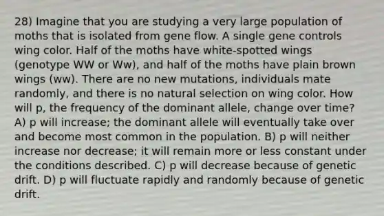 28) Imagine that you are studying a very large population of moths that is isolated from gene flow. A single gene controls wing color. Half of the moths have white-spotted wings (genotype WW or Ww), and half of the moths have plain brown wings (ww). There are no new mutations, individuals mate randomly, and there is no natural selection on wing color. How will p, the frequency of the dominant allele, change over time? A) p will increase; the dominant allele will eventually take over and become most common in the population. B) p will neither increase nor decrease; it will remain more or less constant under the conditions described. C) p will decrease because of genetic drift. D) p will fluctuate rapidly and randomly because of genetic drift.