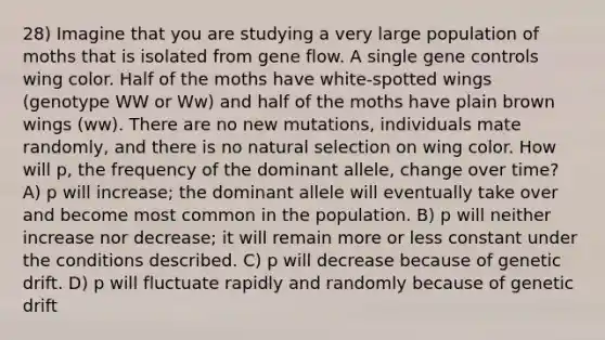 28) Imagine that you are studying a very large population of moths that is isolated from gene flow. A single <a href='https://www.questionai.com/knowledge/kwVcWmCQNM-gene-control' class='anchor-knowledge'>gene control</a>s wing color. Half of the moths have white-spotted wings (genotype WW or Ww) and half of the moths have plain brown wings (ww). There are no new mutations, individuals mate randomly, and there is no natural selection on wing color. How will p, the frequency of the dominant allele, change over time? A) p will increase; the dominant allele will eventually take over and become most common in the population. B) p will neither increase nor decrease; it will remain more or less constant under the conditions described. C) p will decrease because of genetic drift. D) p will fluctuate rapidly and randomly because of genetic drift