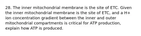 28. The inner mitochondrial membrane is the site of ETC. Given the inner mitochondrial membrane is the site of ETC, and a H+ ion concentration gradient between the inner and outer mitochondrial compartments is critical for <a href='https://www.questionai.com/knowledge/kQXM5vFKbG-atp-production' class='anchor-knowledge'>atp production</a>, explain how ATP is produced.