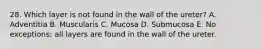 28. Which layer is not found in the wall of the ureter? A. Adventitia B. Muscularis C. Mucosa D. Submucosa E. No exceptions; all layers are found in the wall of the ureter.