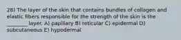 28) The layer of the skin that contains bundles of collagen and elastic fibers responsible for the strength of the skin is the ________ layer. A) papillary B) reticular C) epidermal D) subcutaneous E) hypodermal