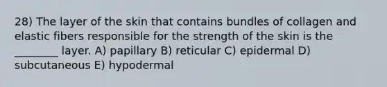 28) The layer of the skin that contains bundles of collagen and elastic fibers responsible for the strength of the skin is the ________ layer. A) papillary B) reticular C) epidermal D) subcutaneous E) hypodermal