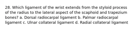 28. Which ligament of the wrist extends from the styloid process of the radius to the lateral aspect of the scaphoid and trapezium bones? a. Dorsal radiocarpal ligament b. Palmar radiocarpal ligament c. Ulnar collateral ligament d. Radial collateral ligament