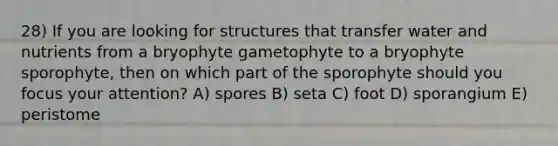 28) If you are looking for structures that transfer water and nutrients from a bryophyte gametophyte to a bryophyte sporophyte, then on which part of the sporophyte should you focus your attention? A) spores B) seta C) foot D) sporangium E) peristome