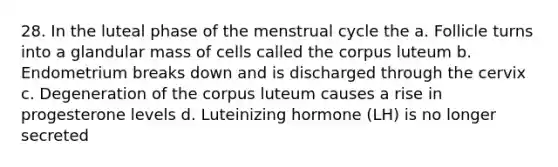 28. In the luteal phase of the menstrual cycle the a. Follicle turns into a glandular mass of cells called the corpus luteum b. Endometrium breaks down and is discharged through the cervix c. Degeneration of the corpus luteum causes a rise in progesterone levels d. Luteinizing hormone (LH) is no longer secreted