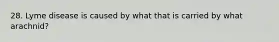 28. Lyme disease is caused by what that is carried by what arachnid?