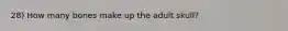 28) How many bones make up the adult skull?