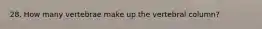 28. How many vertebrae make up the vertebral column?