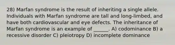 28) Marfan syndrome is the result of inheriting a single allele. Individuals with Marfan syndrome are tall and long-limbed, and have both cardiovascular and eye defects. The inheritance of Marfan syndrome is an example of ______. A) codominance B) a recessive disorder C) pleiotropy D) incomplete dominance